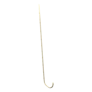 Cane
