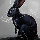 Suanax