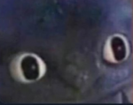 alphaMONSTA