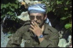 şempanzecelil
