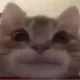 ketçap