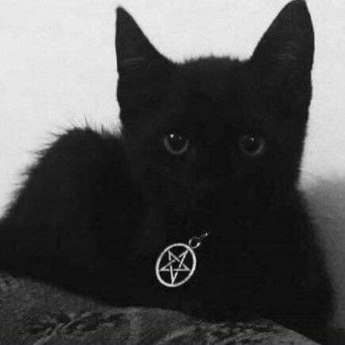 harry666