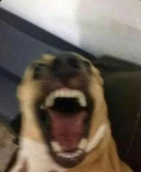 ardaslmsfk