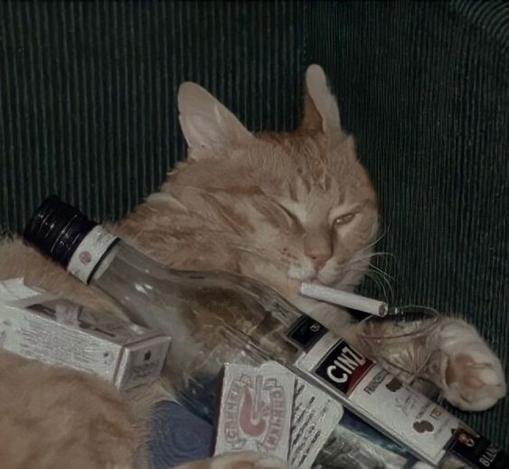 Whynapse