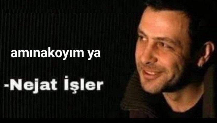 güvercin1