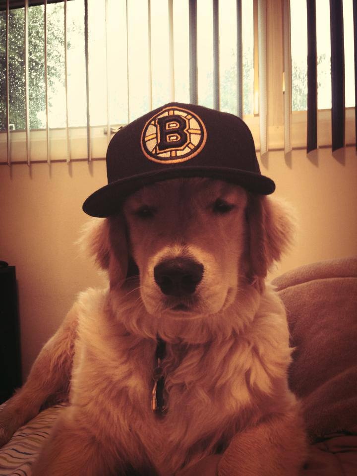 blessyboi