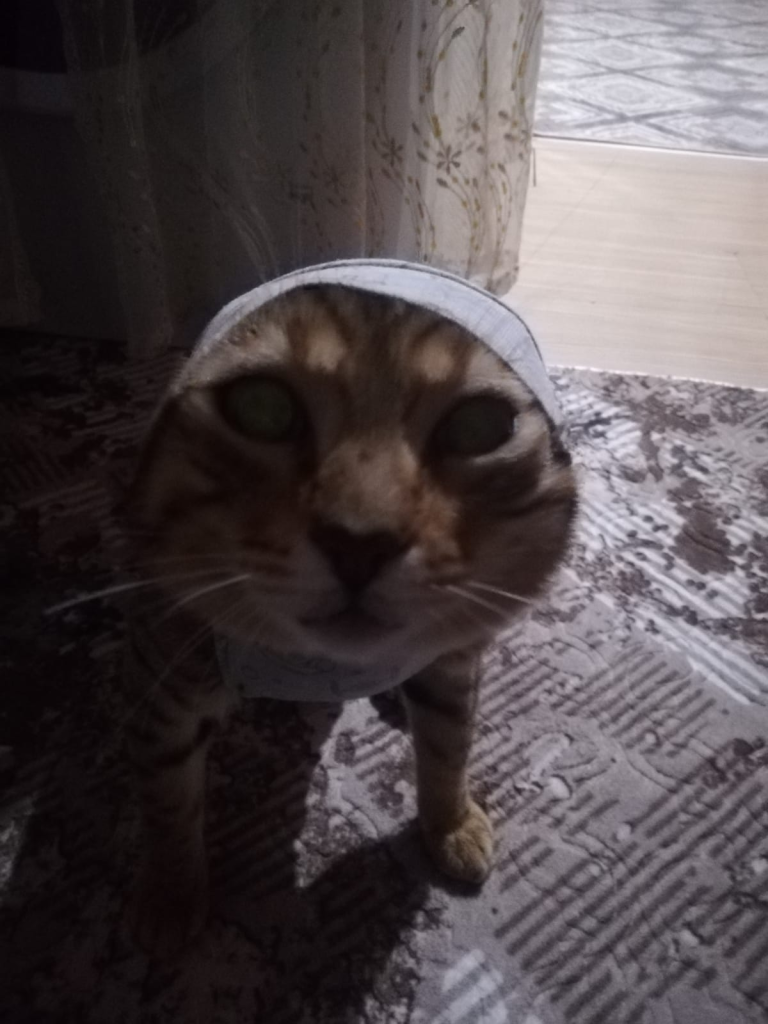 Ekmekyiyen
