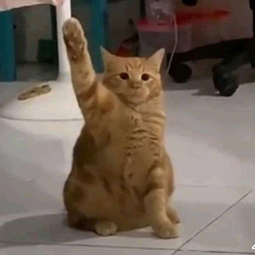 umutadgzl