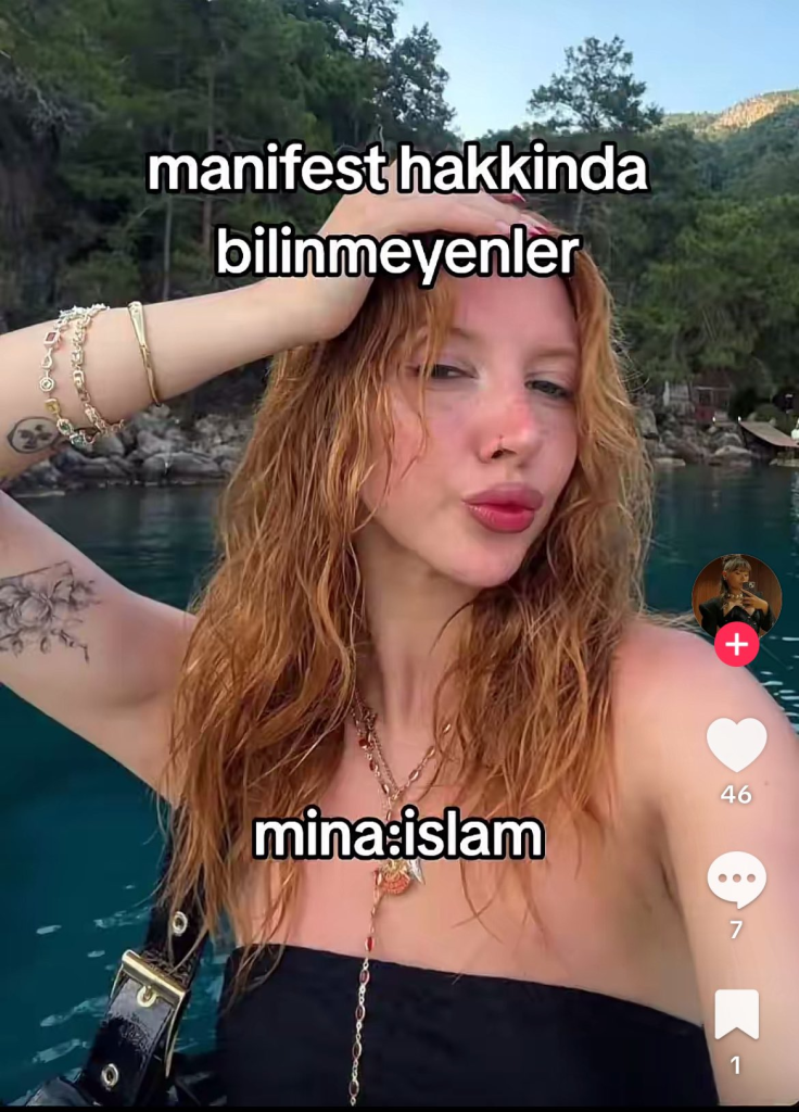 cishetslayleyici