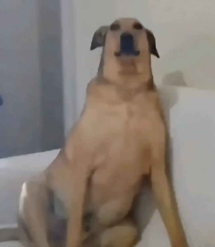 Lalalala