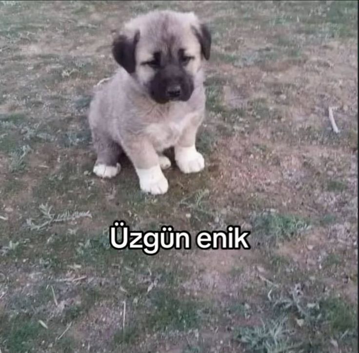 zirzopemin