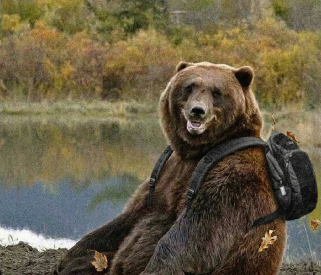 MarkosGazanfer